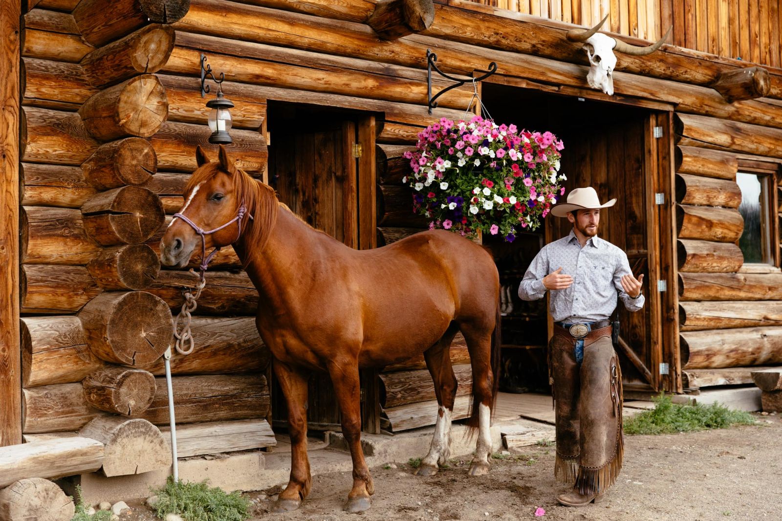 Horse programme on the grounds of Siwash Lake Ranch in Canada's British Columbia