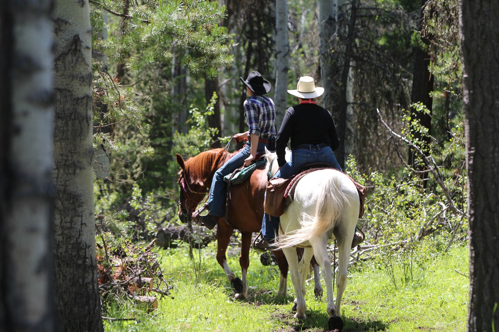 Guests riding horses on the grounds of Siwash Lake Ranch in Canada's British Columbia
