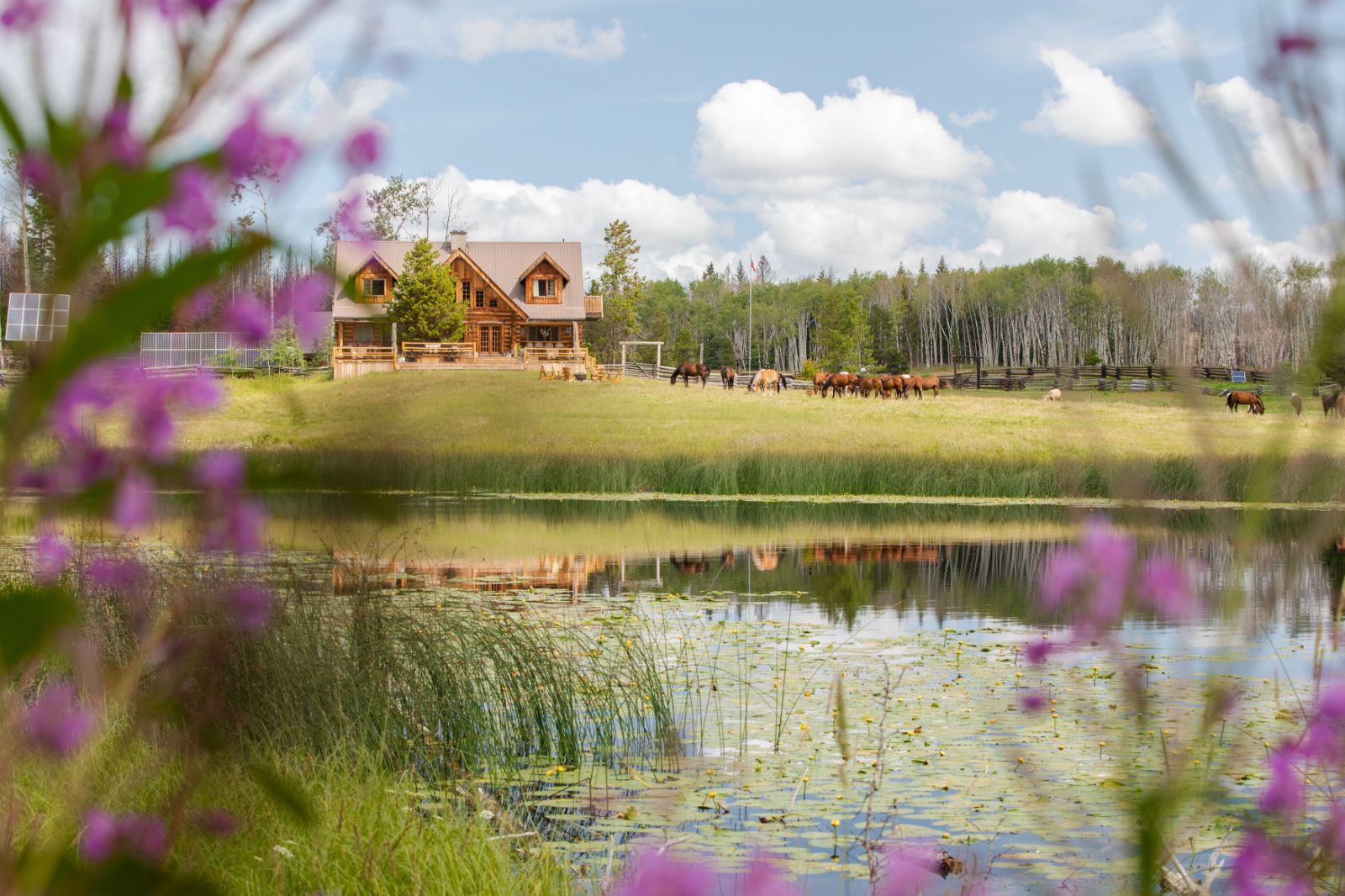 Exterior view of lodge, horses and lake at Siwash Lake Ranch in Canada's British Columbia