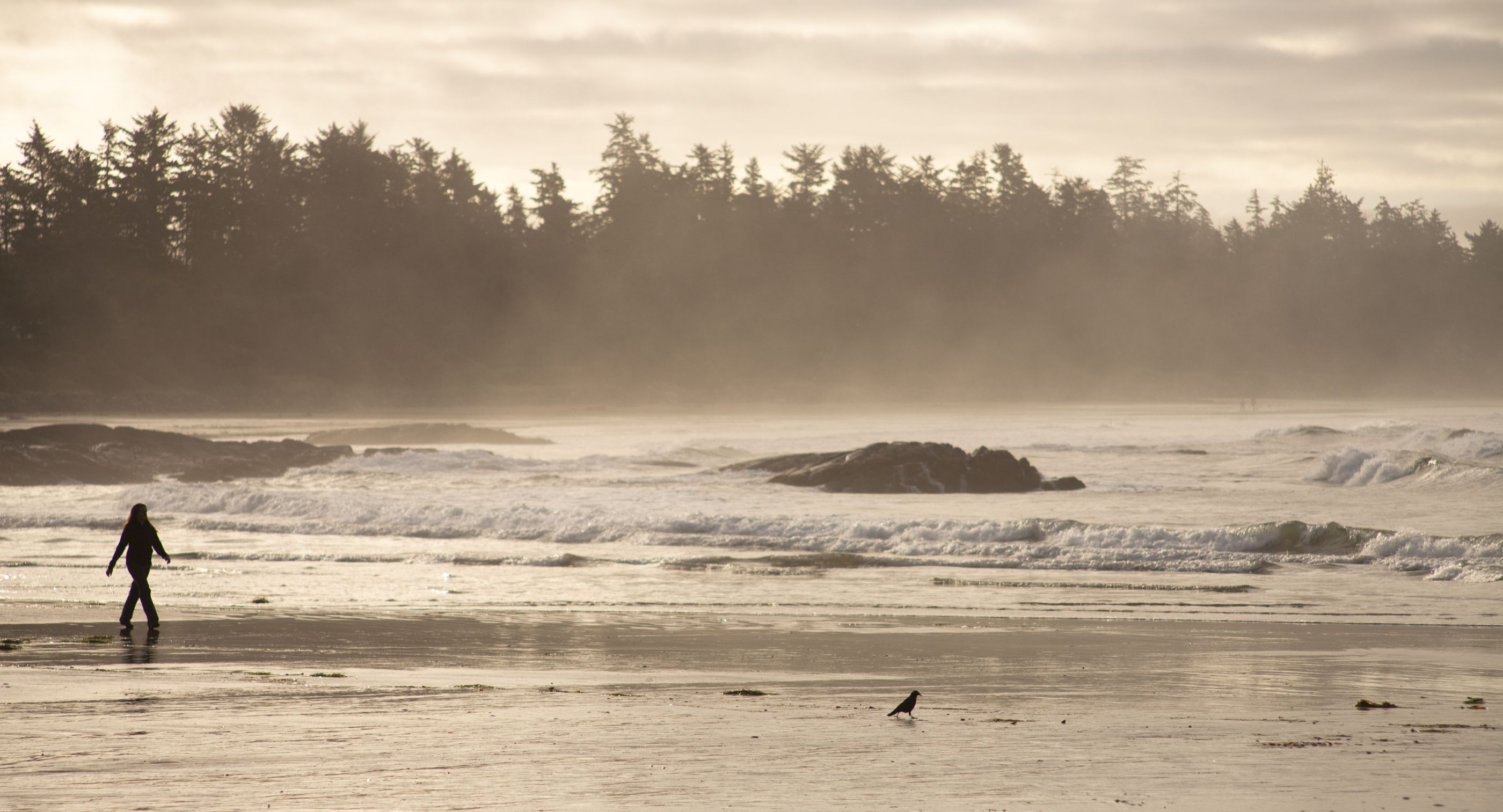 Tofino beach near Wickaninnish Inn, Canada