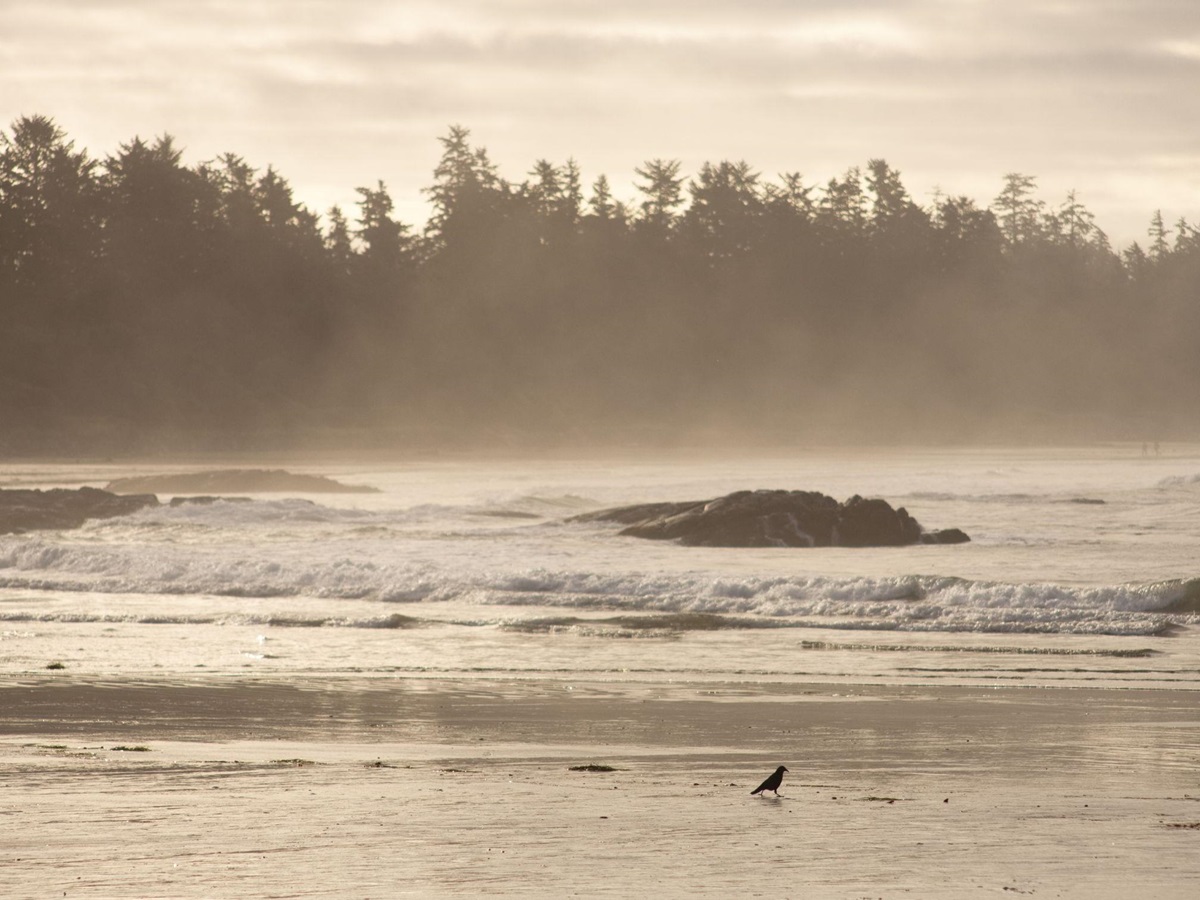 Tofino beach near Wickaninnish Inn, Canada