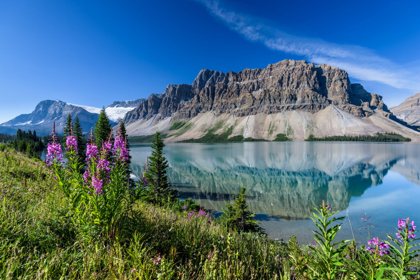 Bow Lake near the Rocky Mountains in Alberta