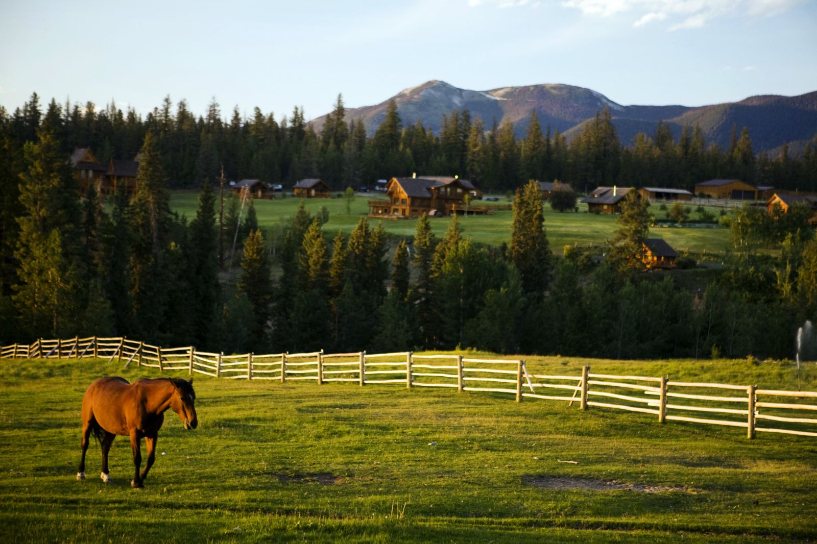 Panoramic view of a horse at Echo Valley Ranch in Canada