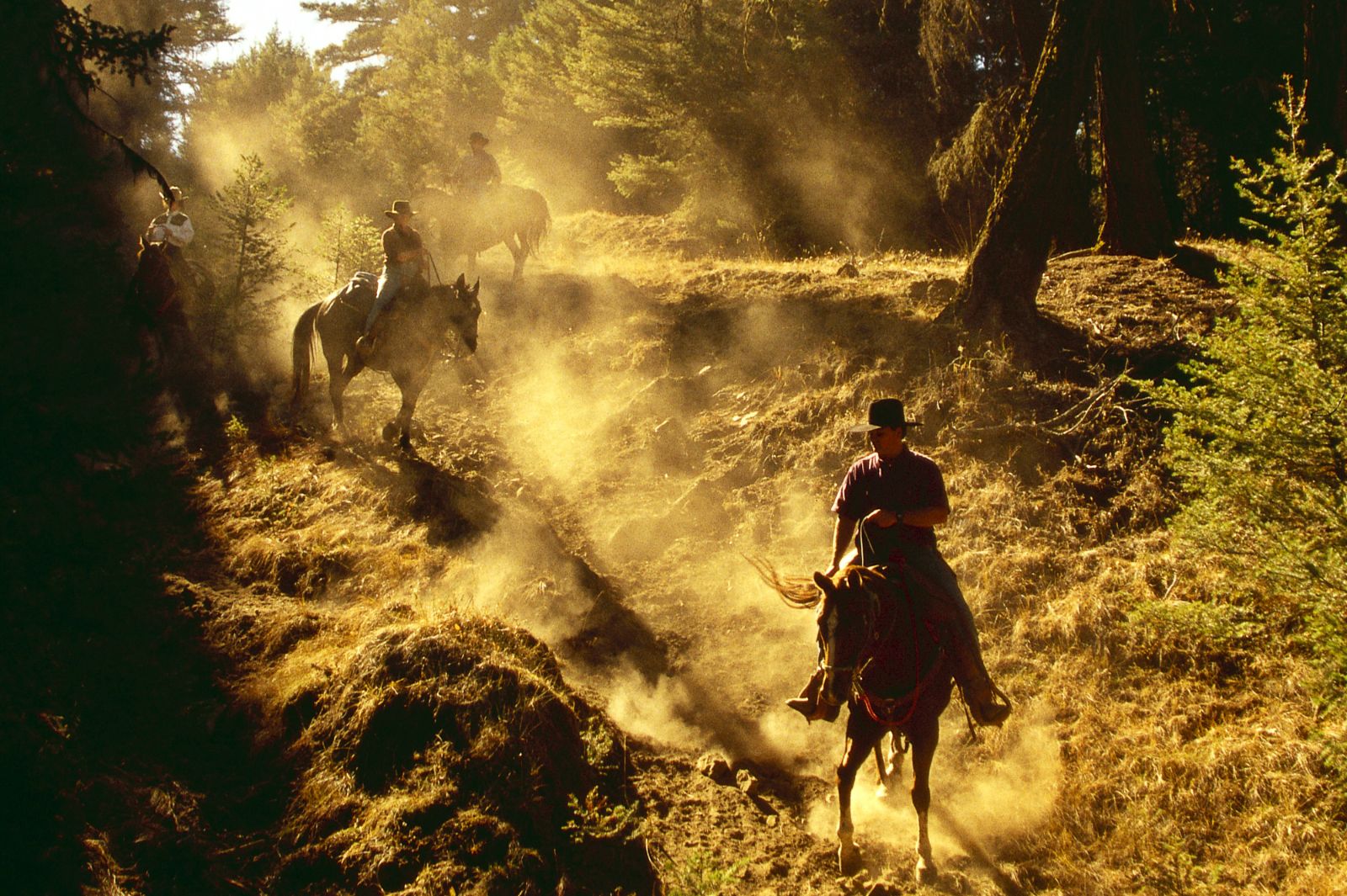 Trail riding at Echo Valley Ranch in Canada