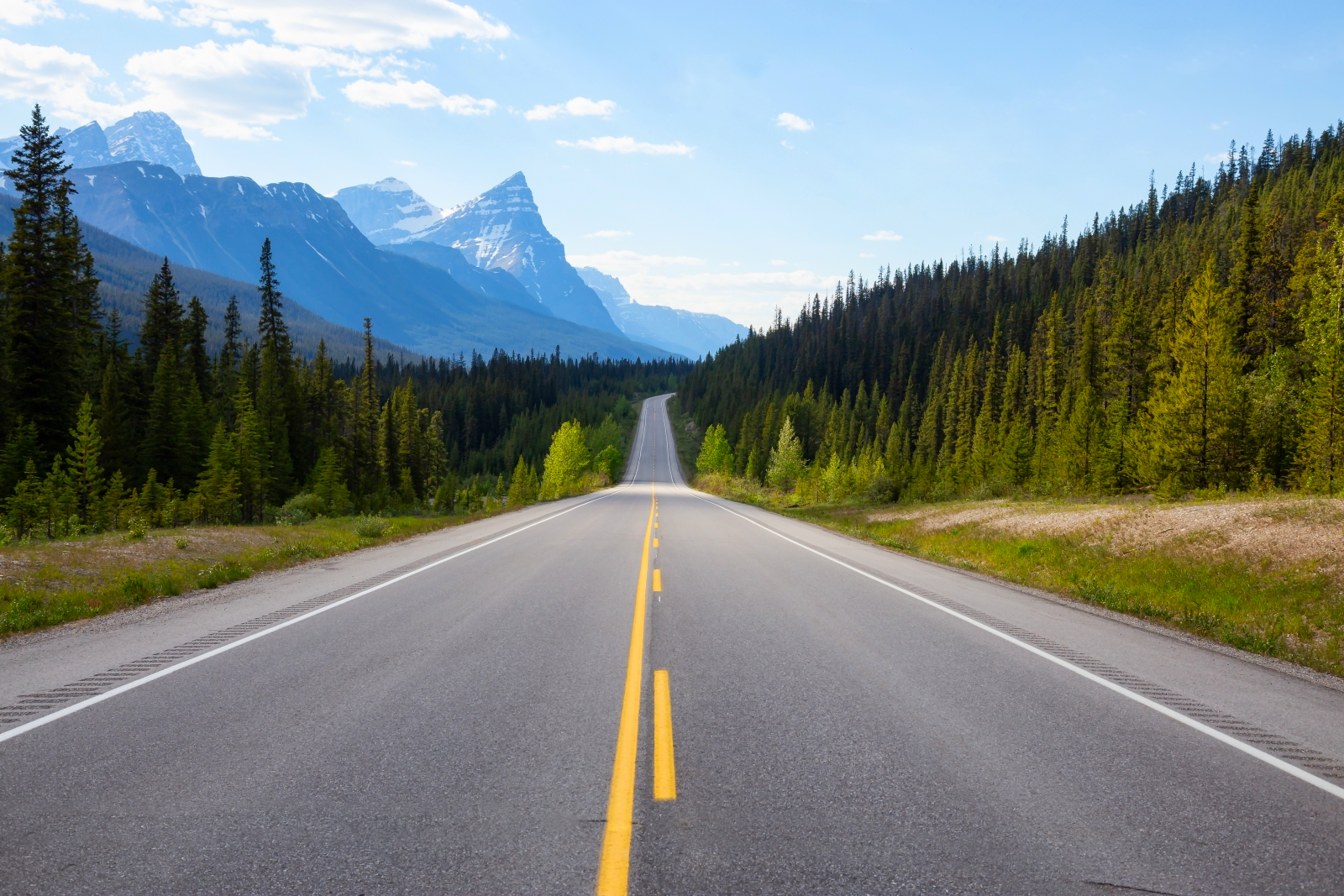 A road cutting through the landscape of British Columbia