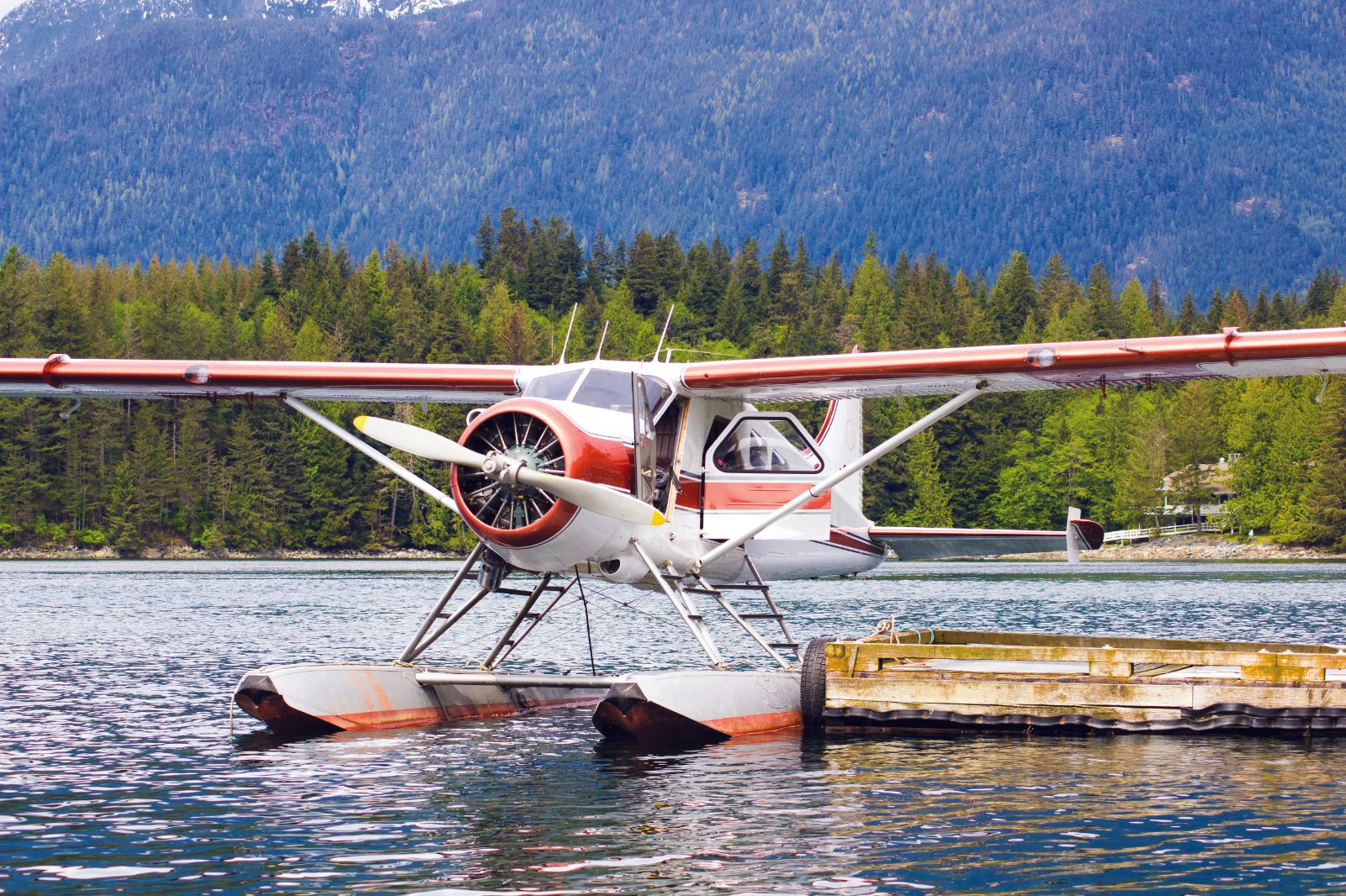 A seaplane landing on the water in British Columbia
