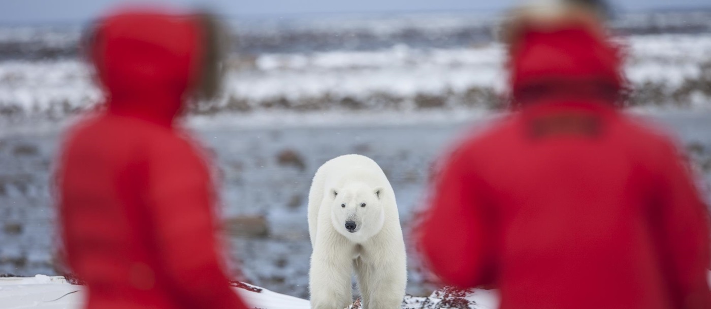 polar bear lodge, Canada