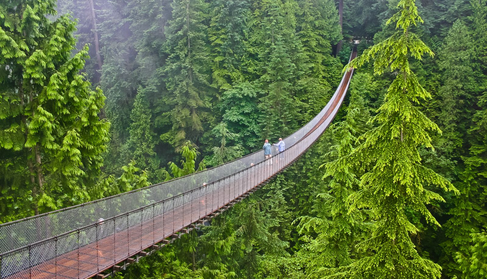 Capilano Suspension Bridge in Vancouver, Canada