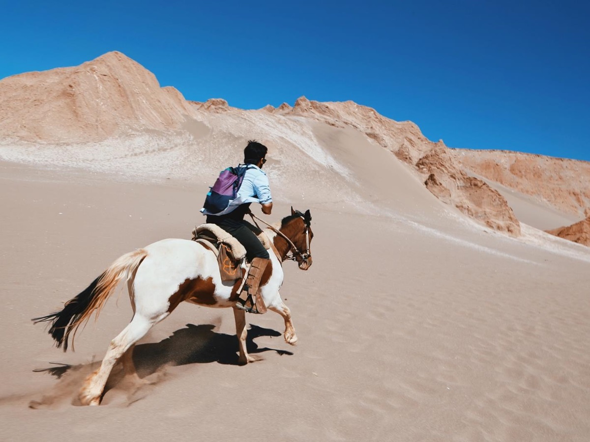 Person riding in the desert