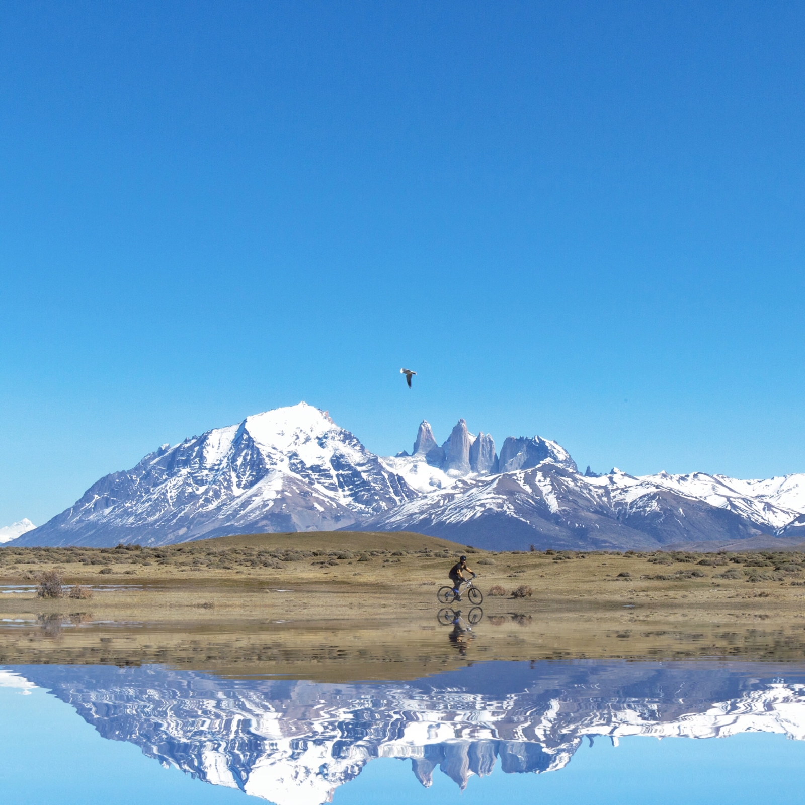Mirror-like reflection of a cyclist withsnowy mountains in the background