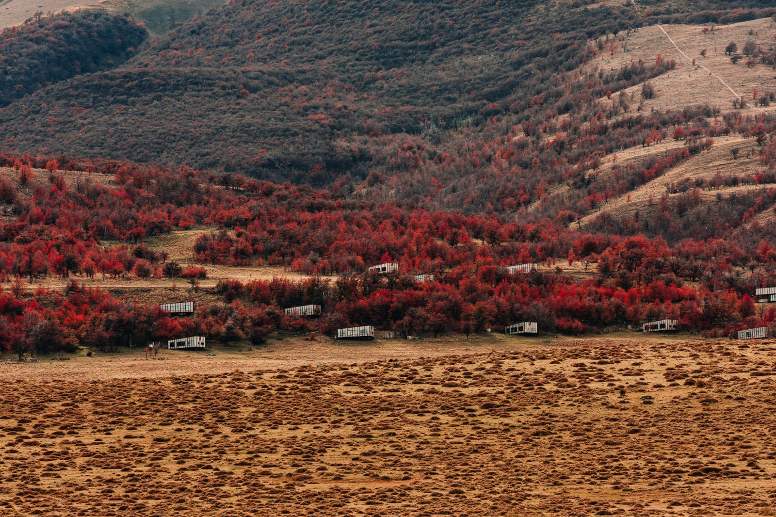 Aerial view of Awasi Patagonia amidst the autumn-coloured trees