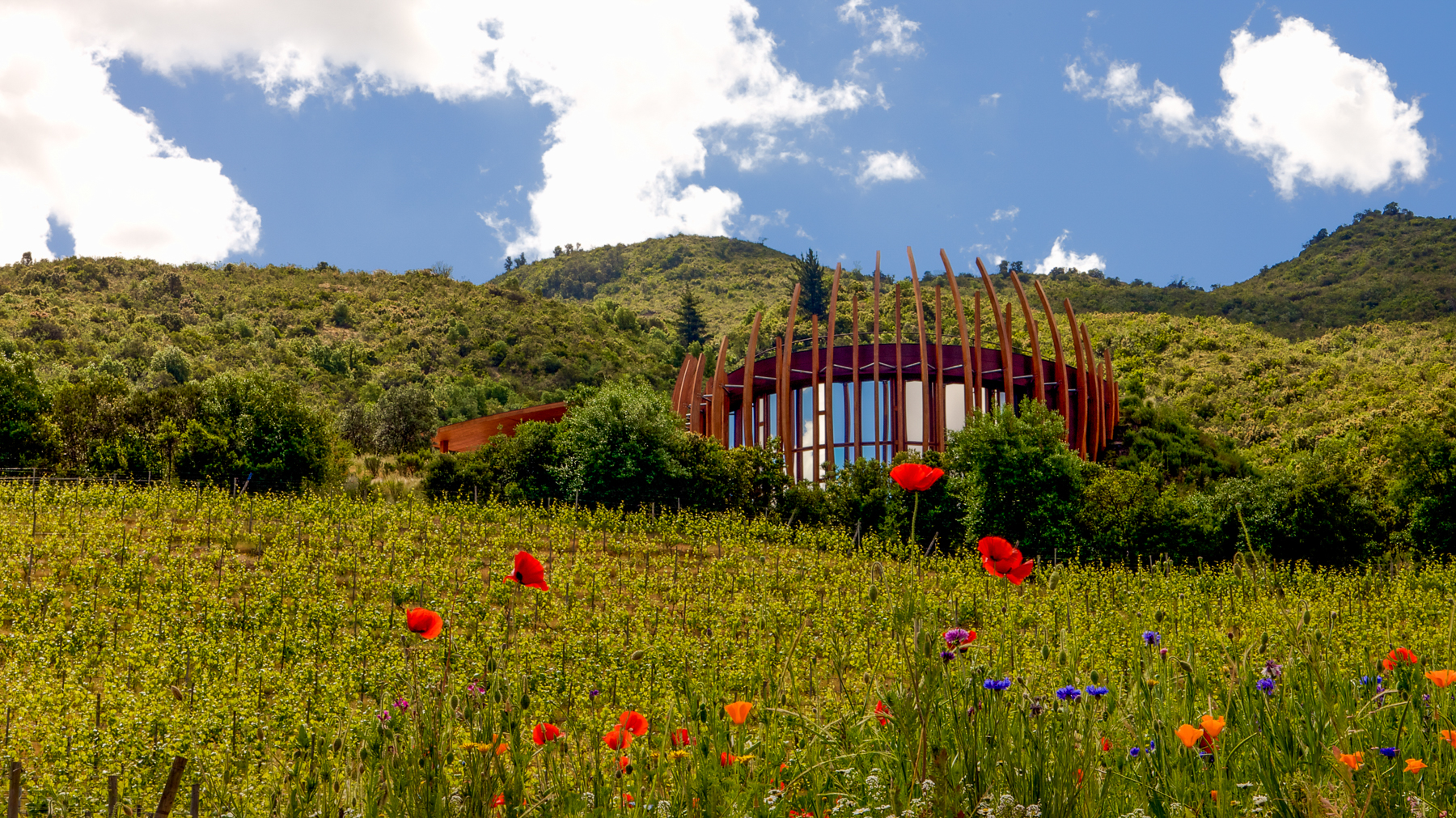 Exterior view of Clos Apalta residence in Chile's Colchagua Valley