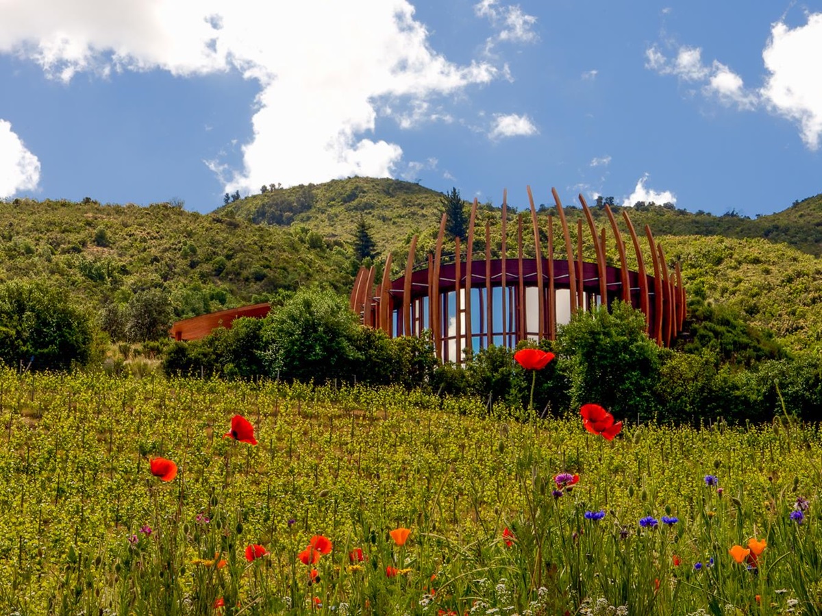 Exterior view of Clos Apalta residence in Chile's Colchagua Valley