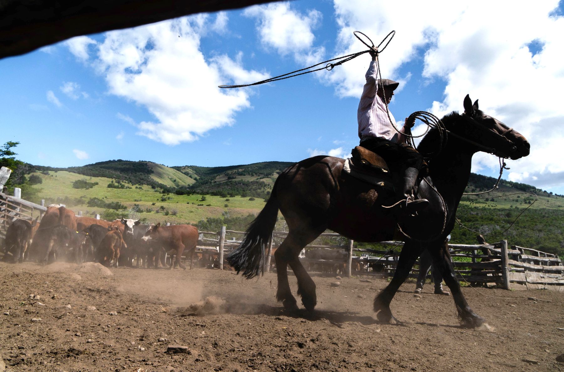 Gaucho and horse at Estancia Cerro Guido in Patagonia Chile