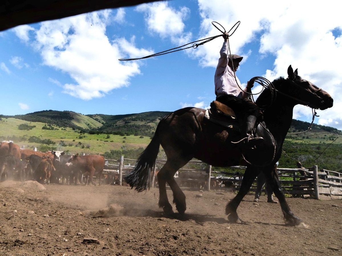 Gaucho and horse at Estancia Cerro Guido in Patagonia Chile
