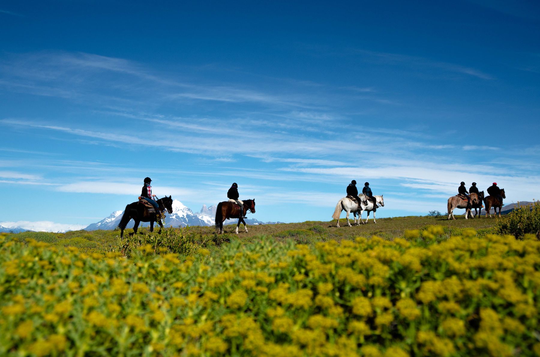 Guests riding through the Patagonian steppe near Estancia Cerro Guido in Chile