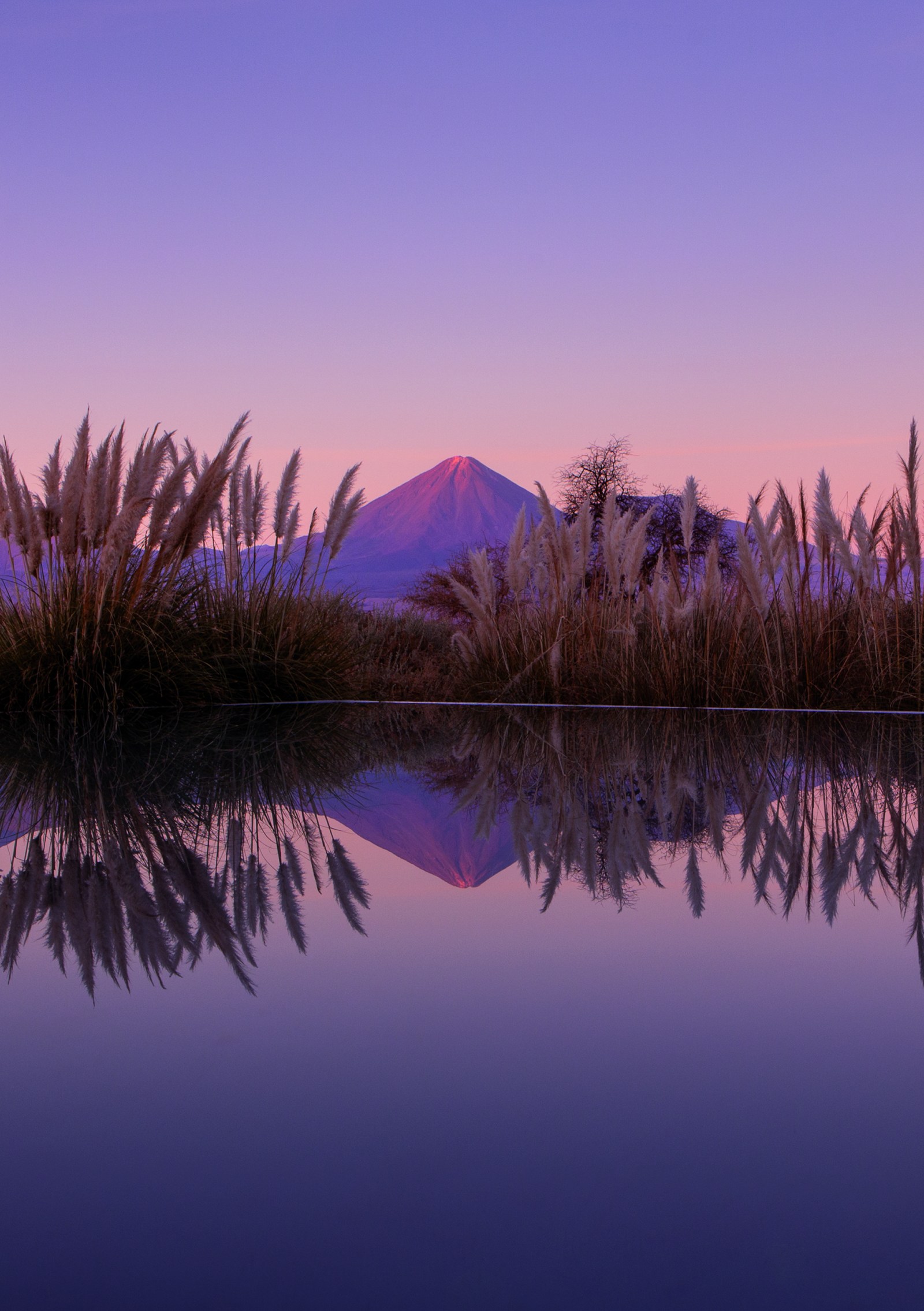 Purple sunset seen from Tierra Hotels, Chile