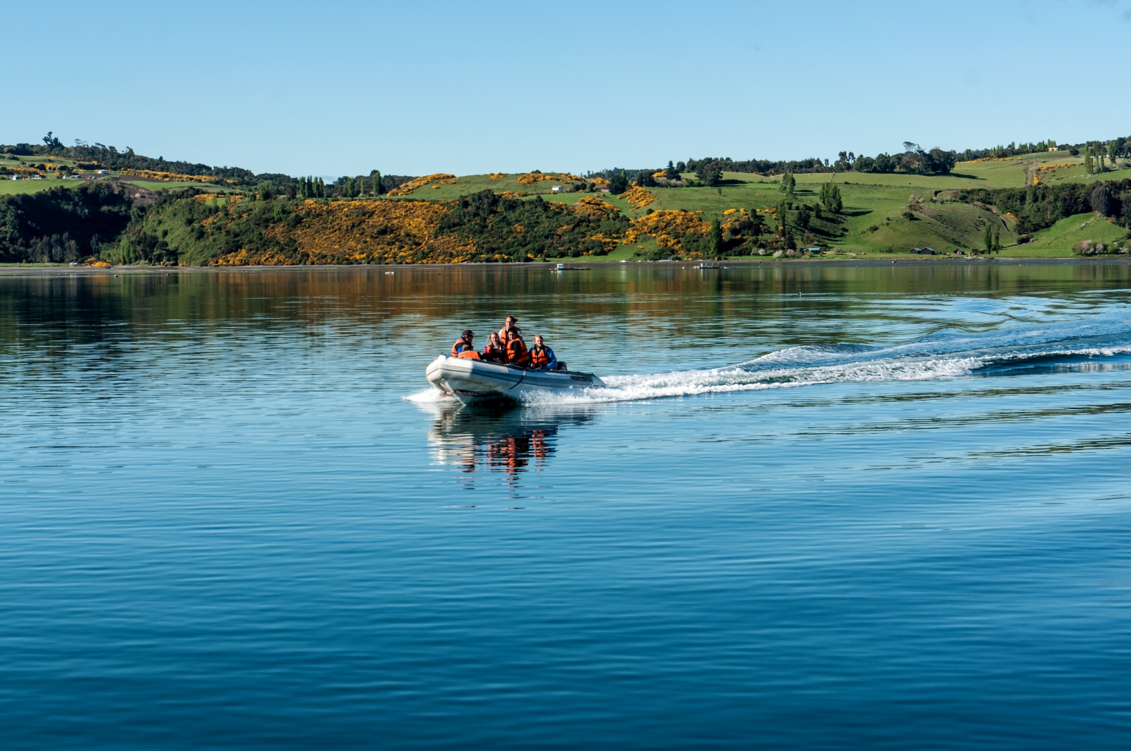 Guests in a speedboat zooming across a lake