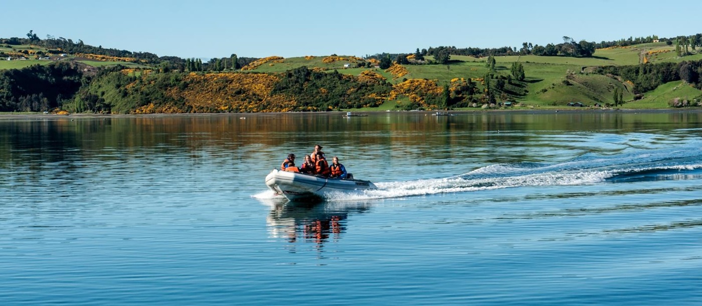 Guests in a speedboat zooming across a lake