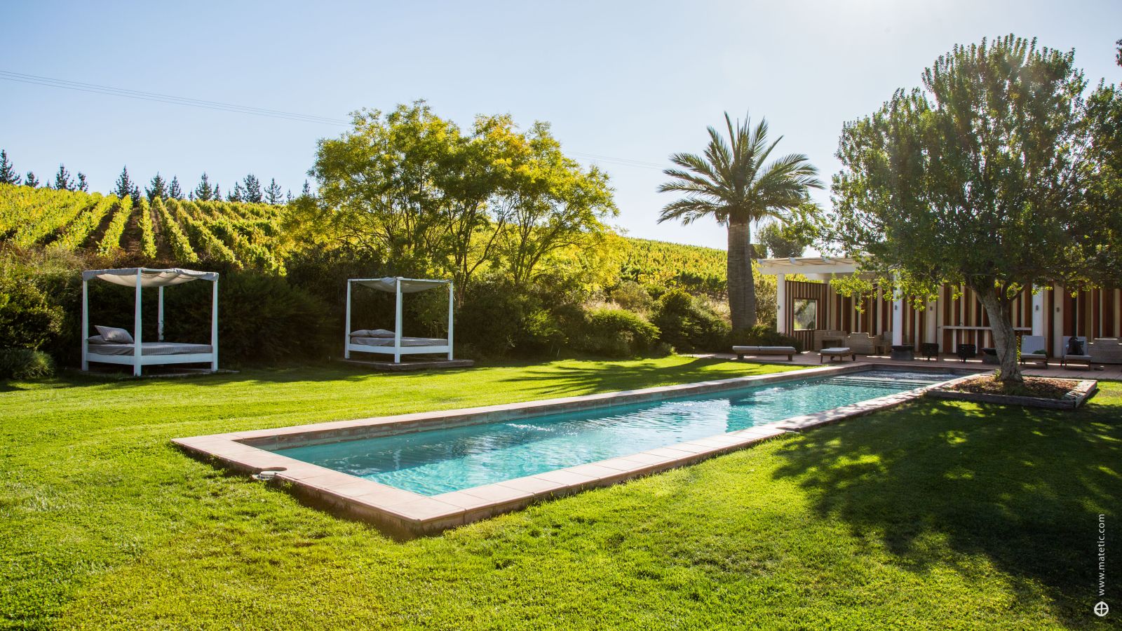 Swimming pool with a backdrop of vineyards at La Casona Vina Matetic in Chile