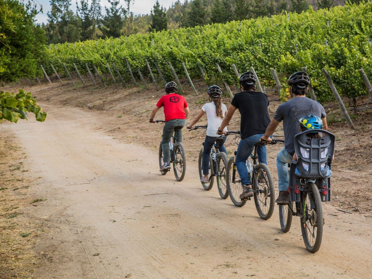 Guests cycling through the vineyards at the Matetic winery in Chile