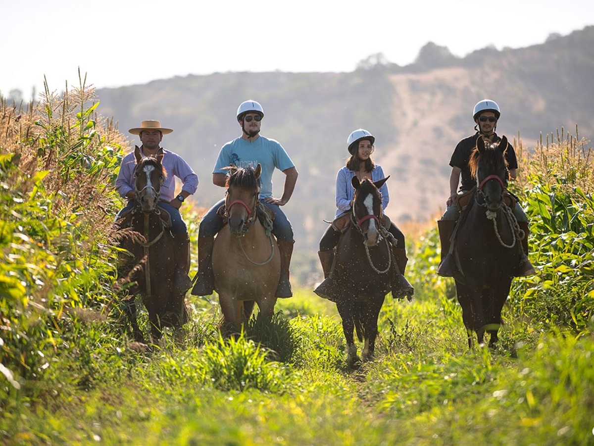Horse riding through the vineyards at the Matetic wine estate in Chile