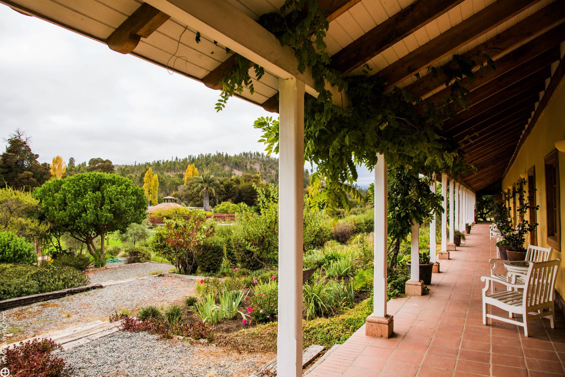 View of the gardens from boutique hotel La Casona at Matetic Vineyards in Chile