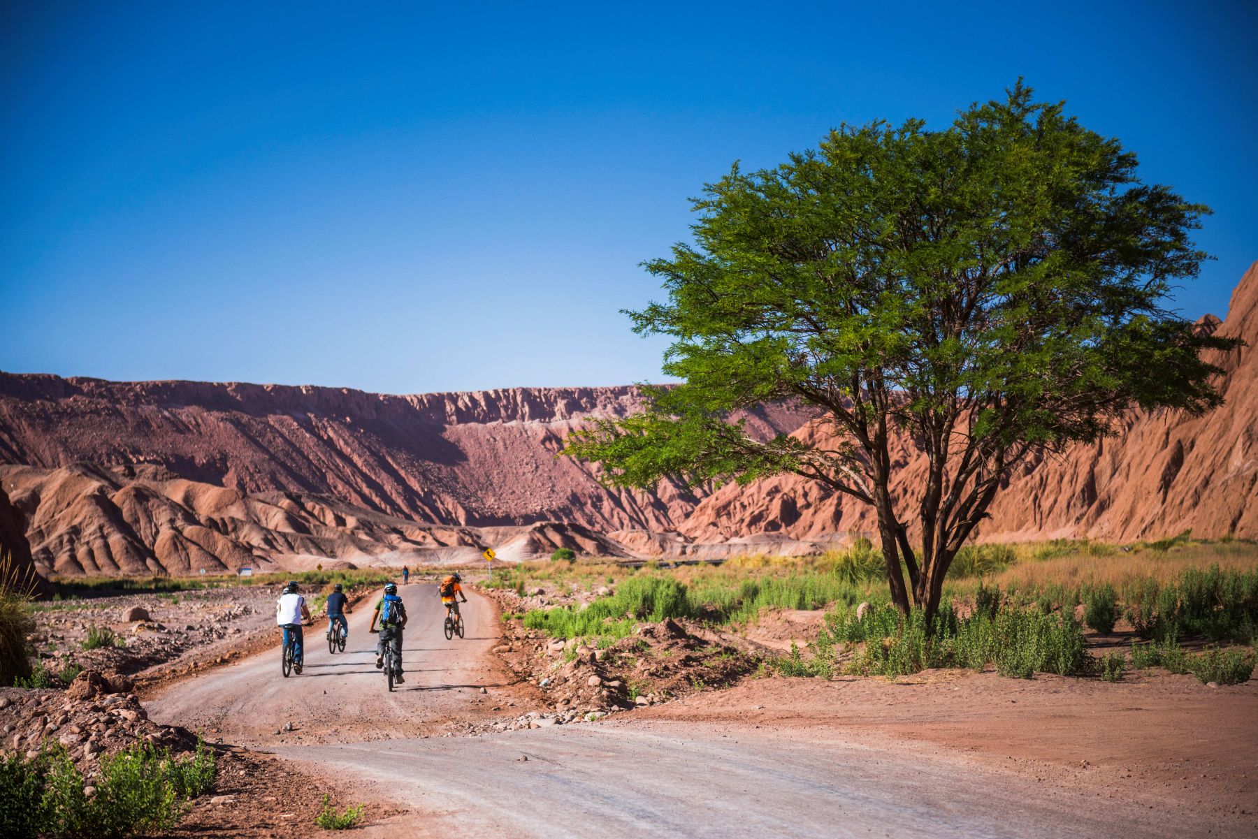 Guests on a mountain biking excursion from Nayara Alto Atacama lodge in Chile