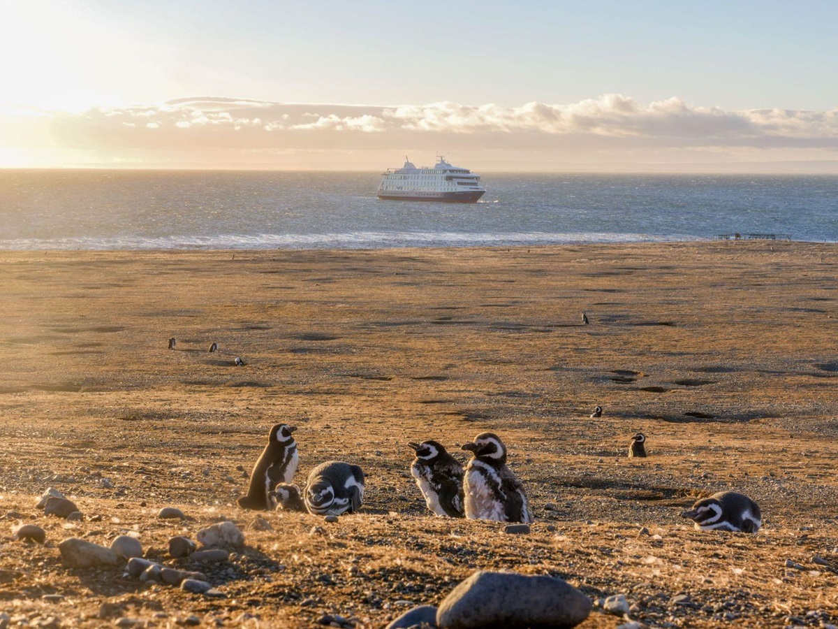 Magellanic penguins on Magdelena Island and the Stella Australis Patagonia