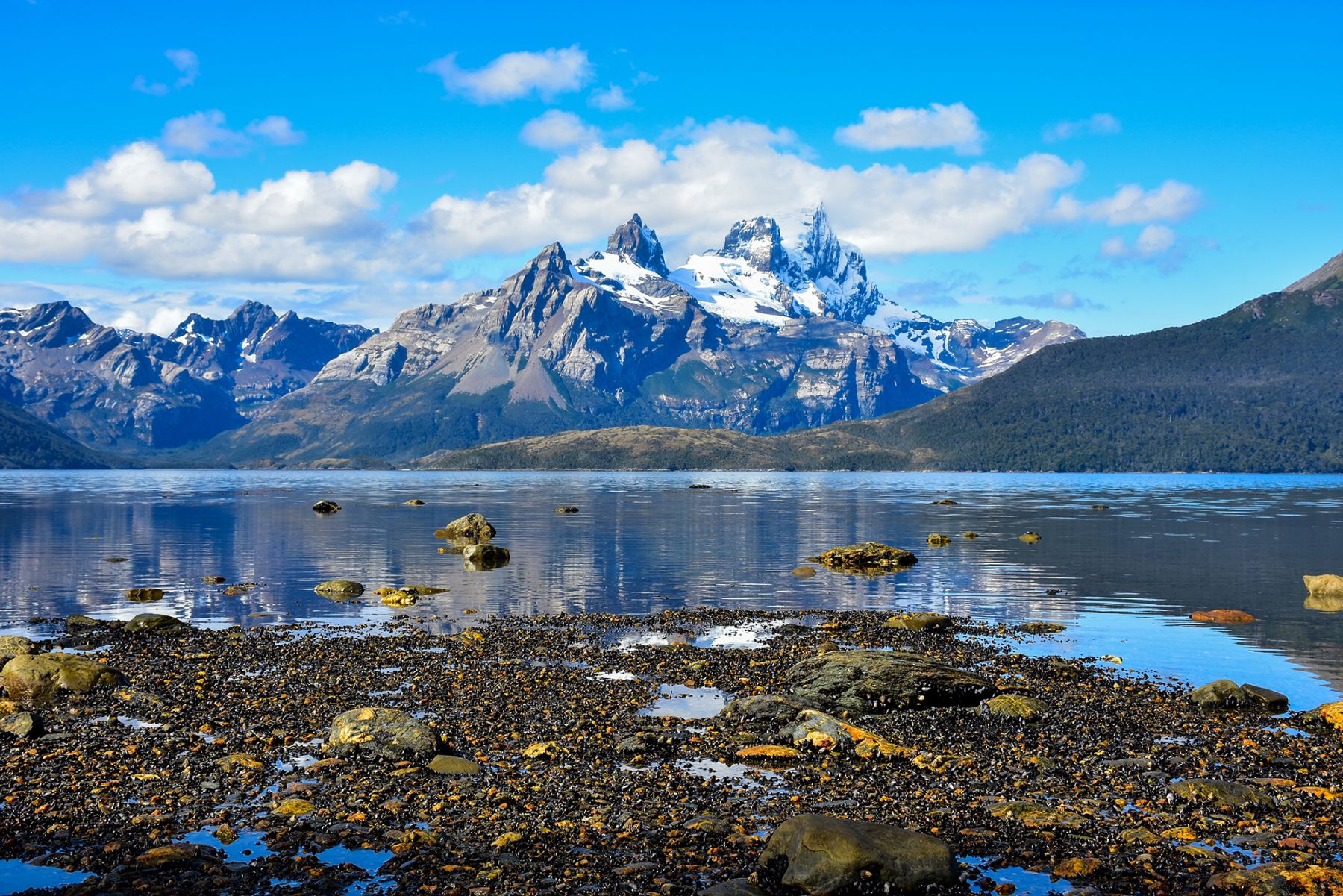 Mountain reflection in Patagonia seen from a Stella Australis cruise