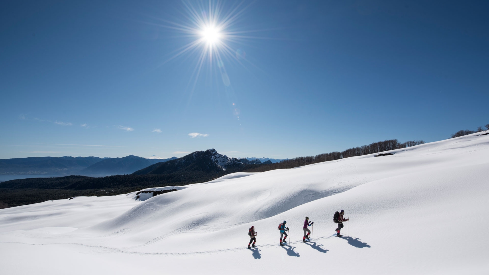 Four people walikg through thick snow