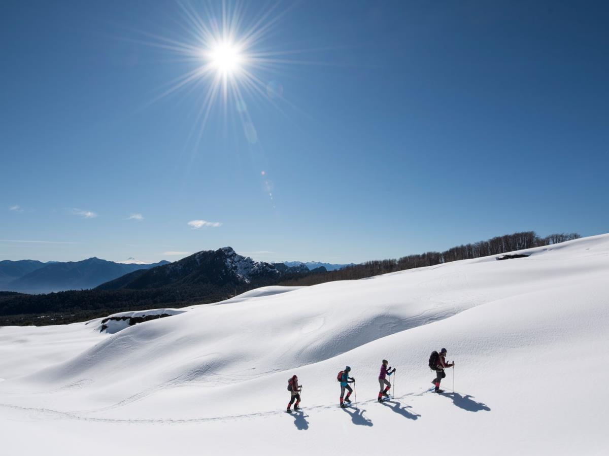 Four people walikg through thick snow