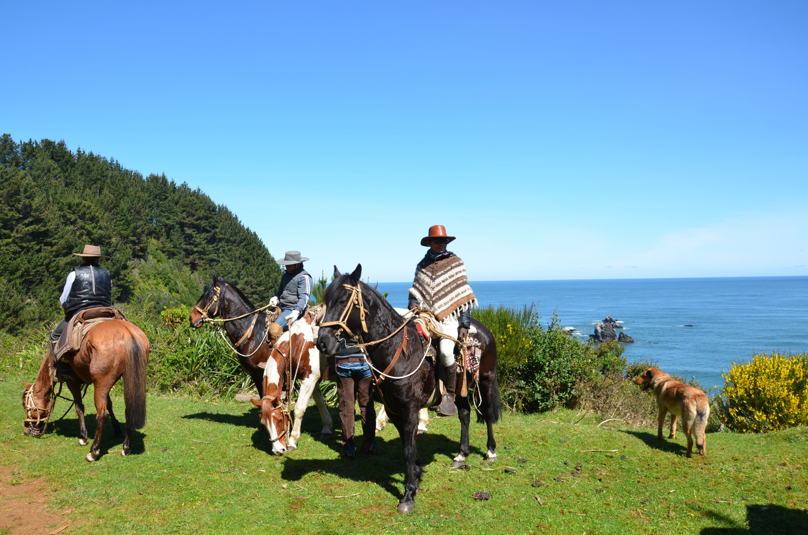 Horse riding at Vira Vira Hotel, Chile