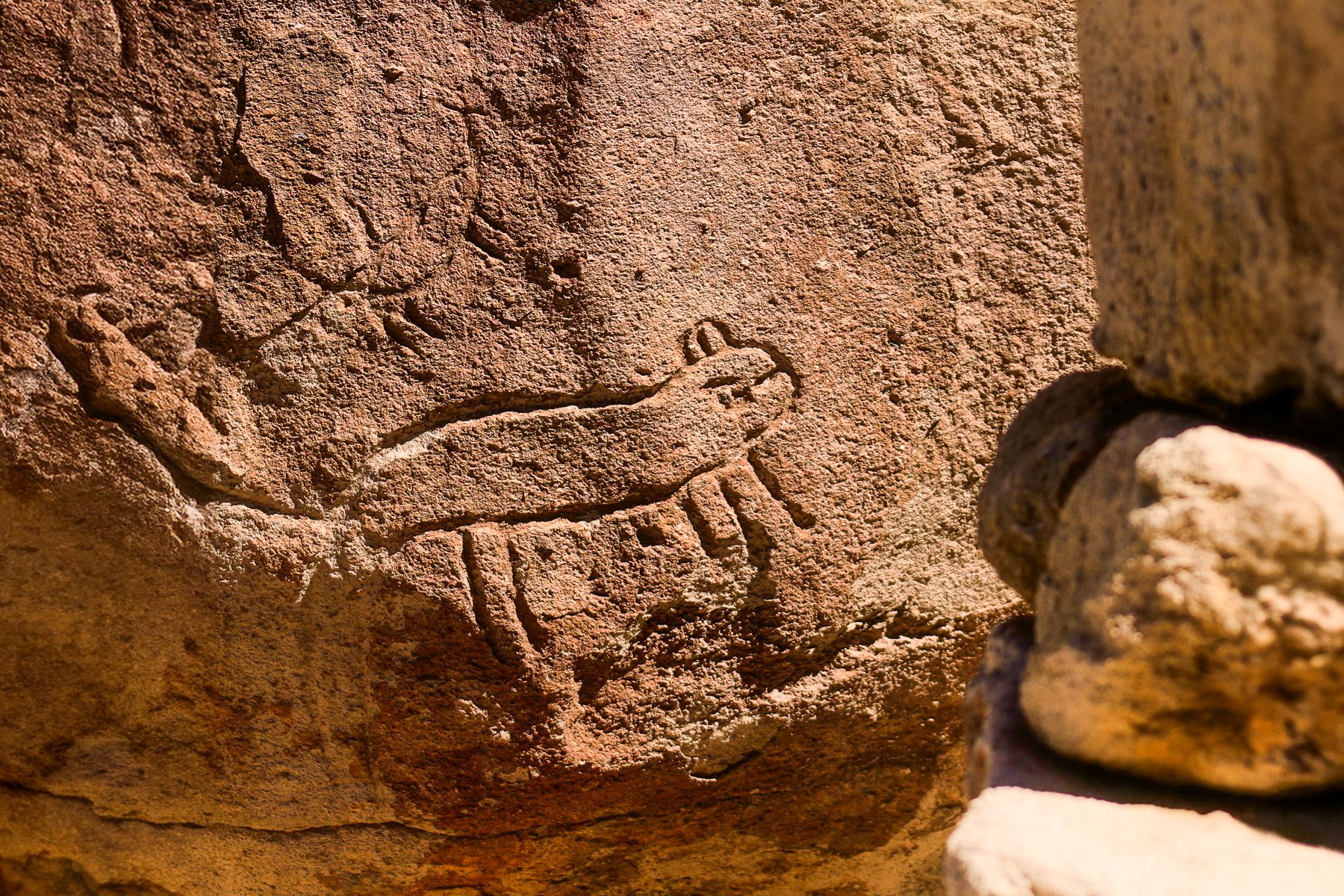 Ancient petroglyphs carved into stone in the Atacama Desert