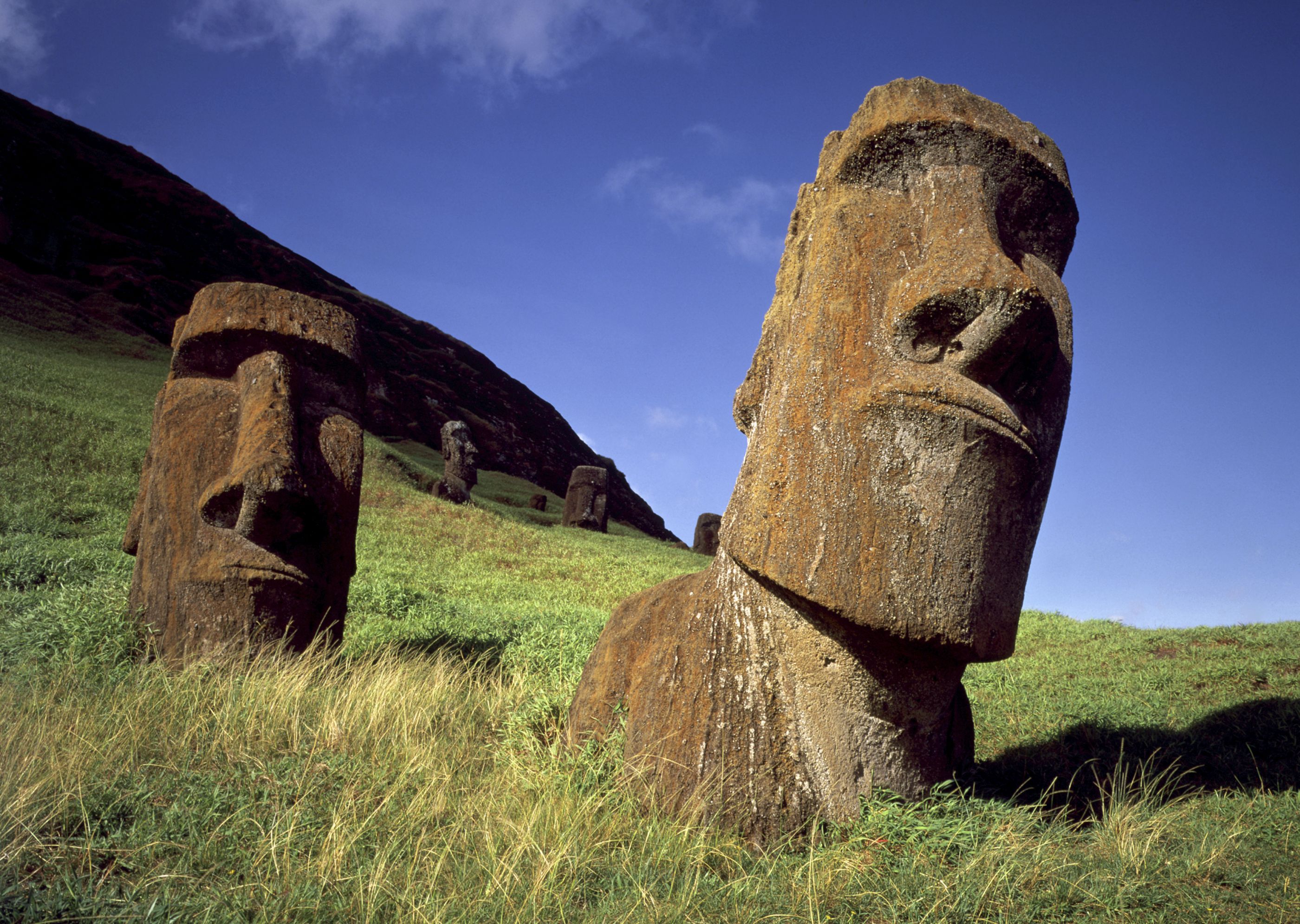 Moai on Easter Island, Chile