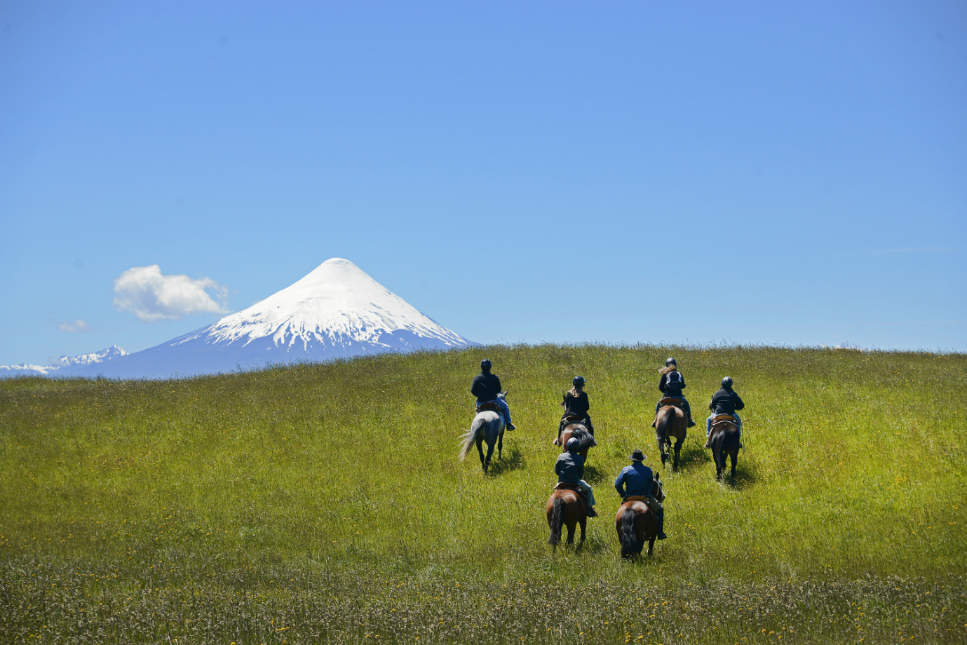Horses riding on the plains in Chile