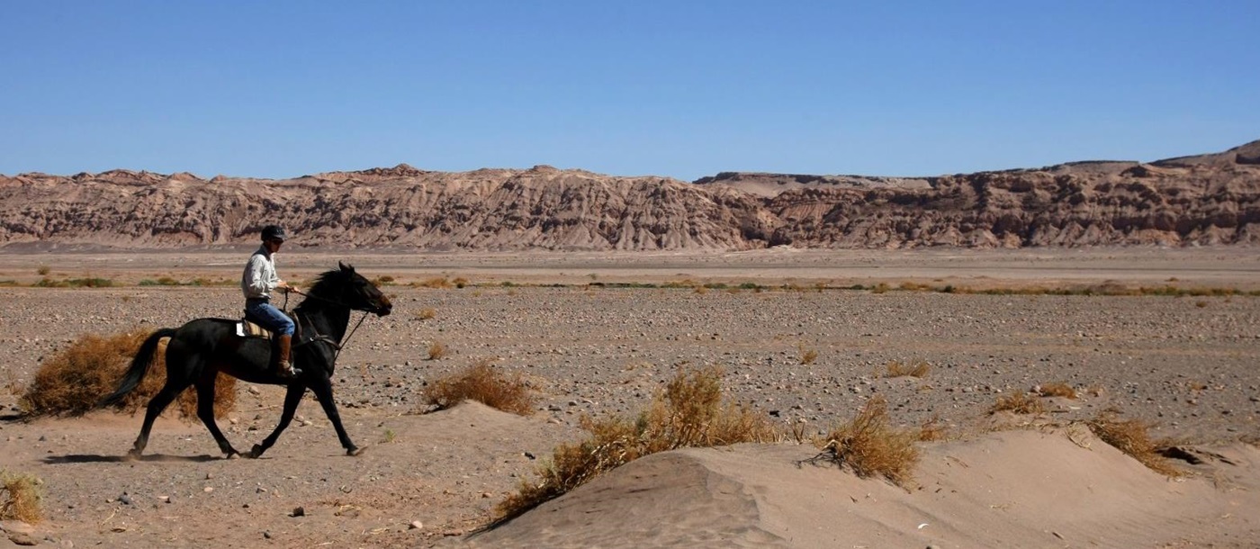 Horse riding in the Atacama Desert, Chile