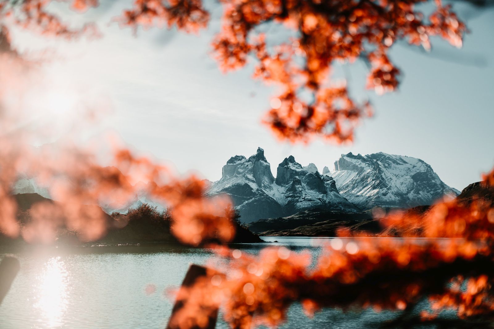 Distant view of the Torres del Paine horns and autumn leaves from a Patagonia Camp excursion in Chile