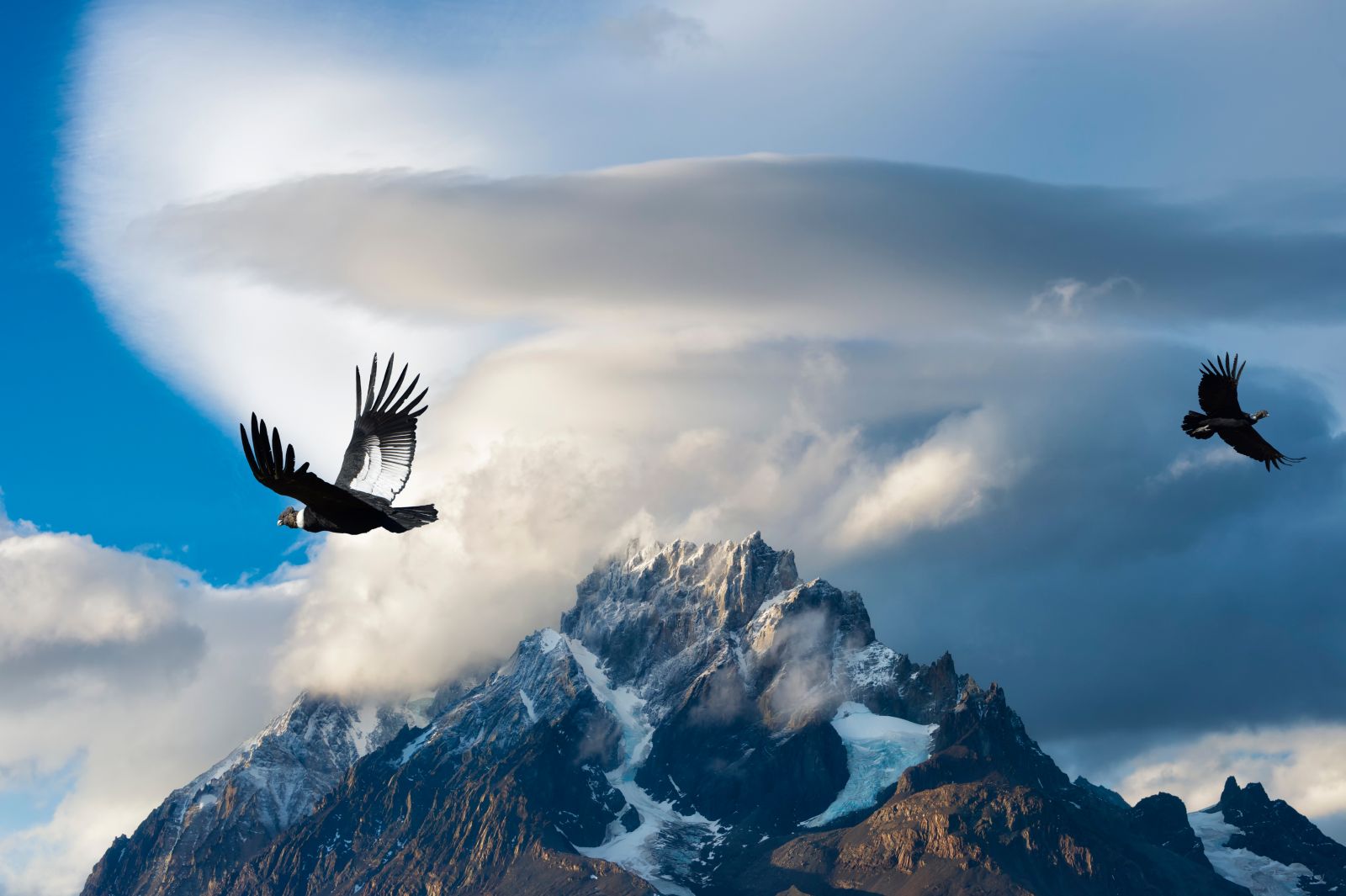 Condors circling over the peaks in the Torres del Paine National Park in Chile