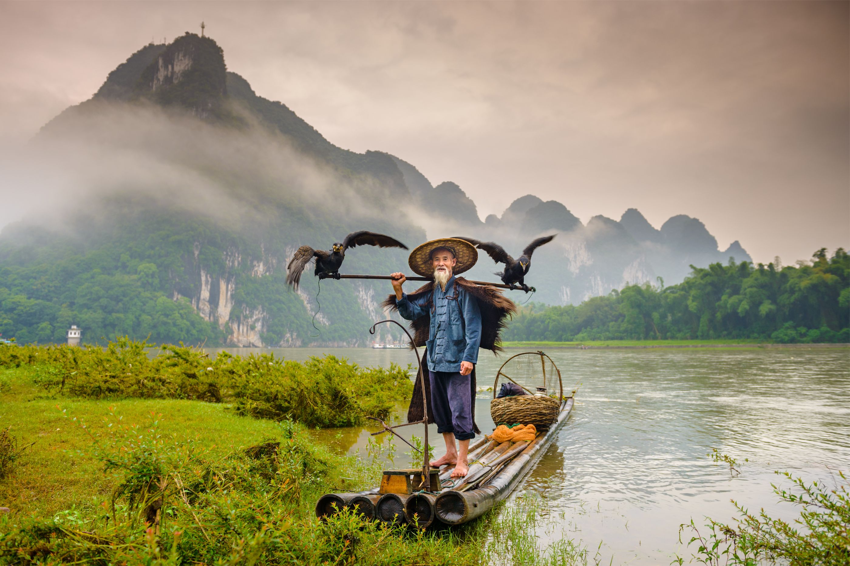 Comorant fisherman, China