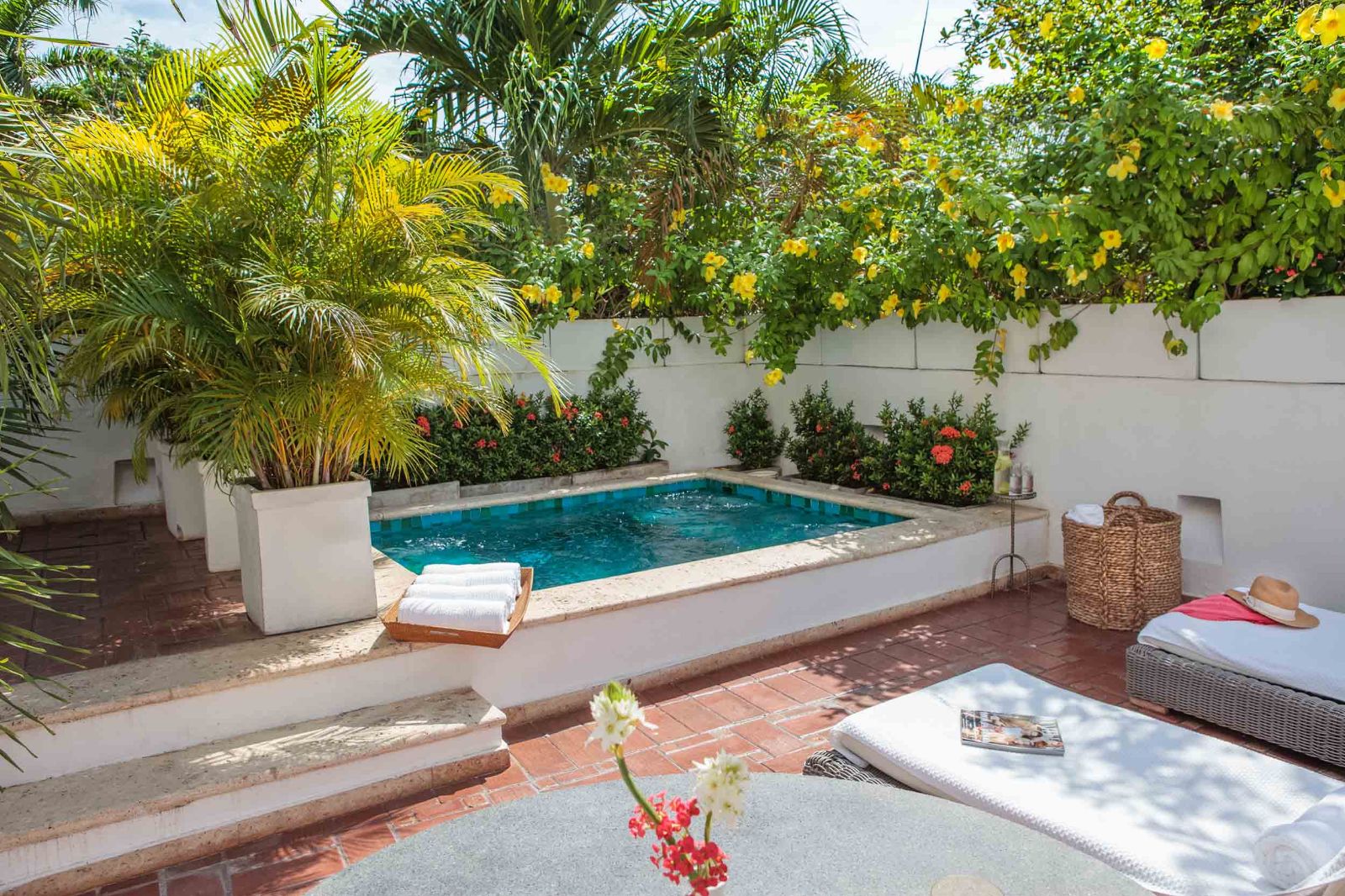 Premium suite plunge pool and terrace at Casa San Agustin in Cartagena, Colombia