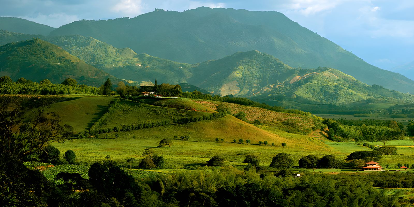 Wide view of the grounds at Hacienda Bambusa in Colombia's coffee region