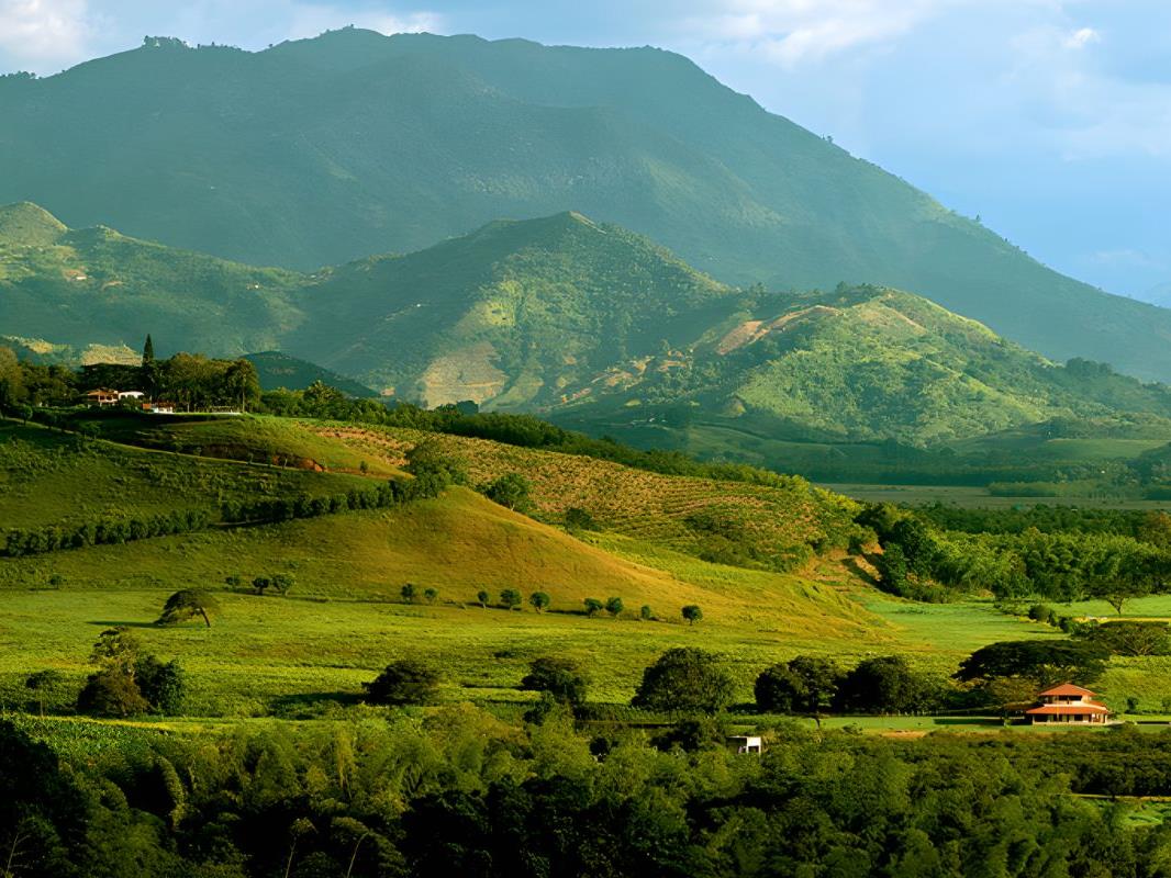 Wide view of the grounds at Hacienda Bambusa in Colombia's coffee region