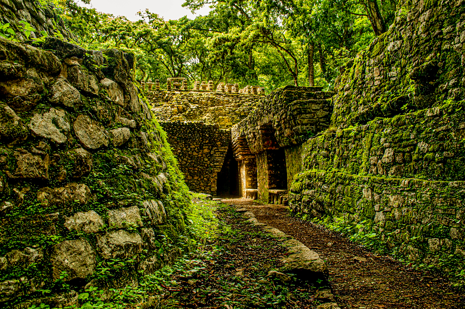 Colombia's Lost City in the Sierra Nevada