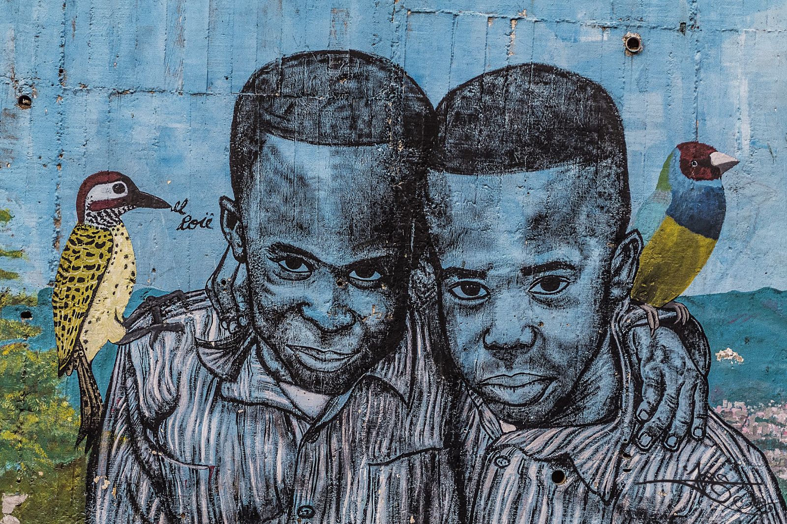 Medellin street art, Colombia