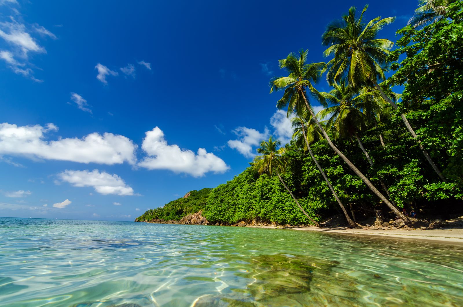 Beach and sea at San Andres y Providencia