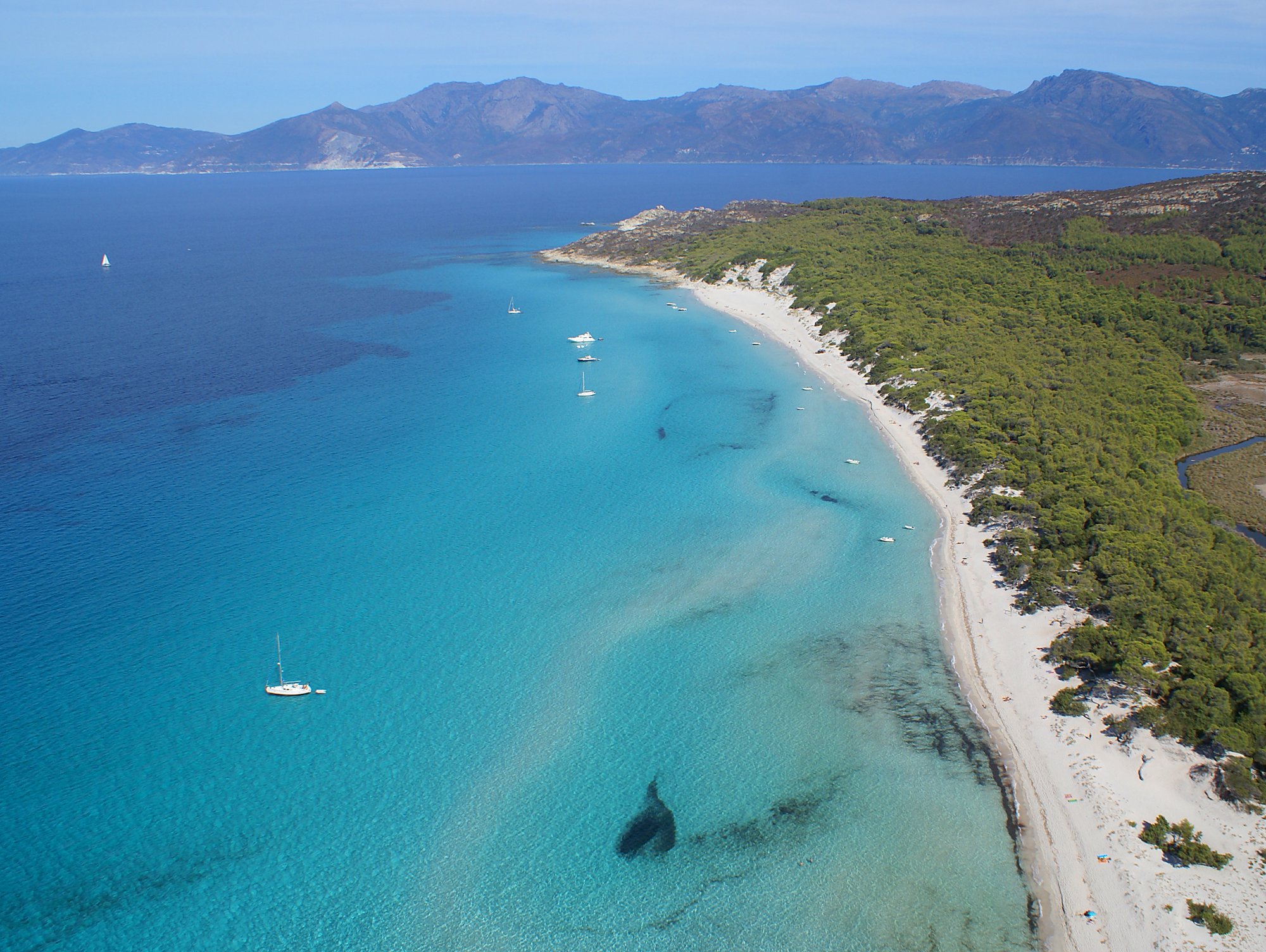 view of a long sandy beach at Hotel U Palazzu Serenu in Corxica, France