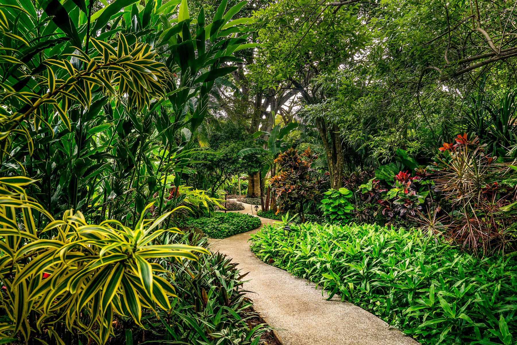 Path running through the gardens at Capitan Suizo in Tamarindo