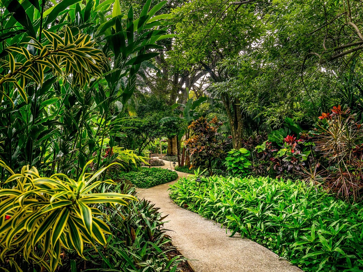 Path running through the gardens at Capitan Suizo in Tamarindo