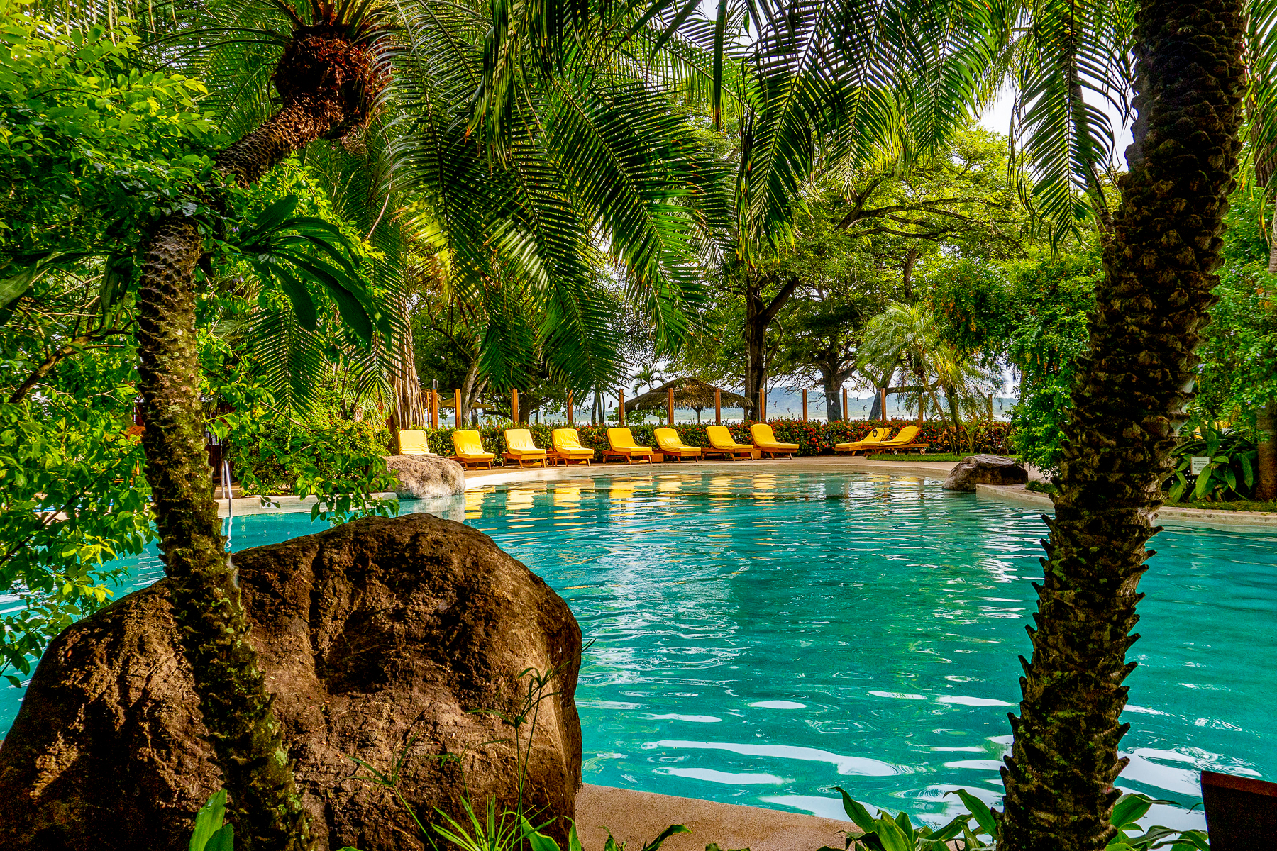 Palm-shaded swimming pool at Capitan Suizo in Tamarindo